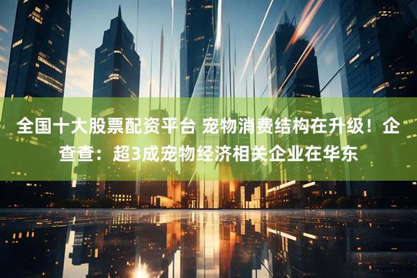 全国十大股票配资平台 宠物消费结构在升级！企查查：超3成宠物经济相关企业在华东