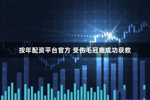 按年配资平台官方 受伤毛冠鹿成功获救