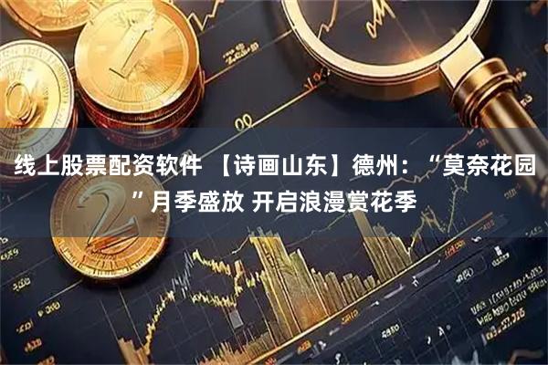 线上股票配资软件 【诗画山东】德州：“莫奈花园”月季盛放 开启浪漫赏花季